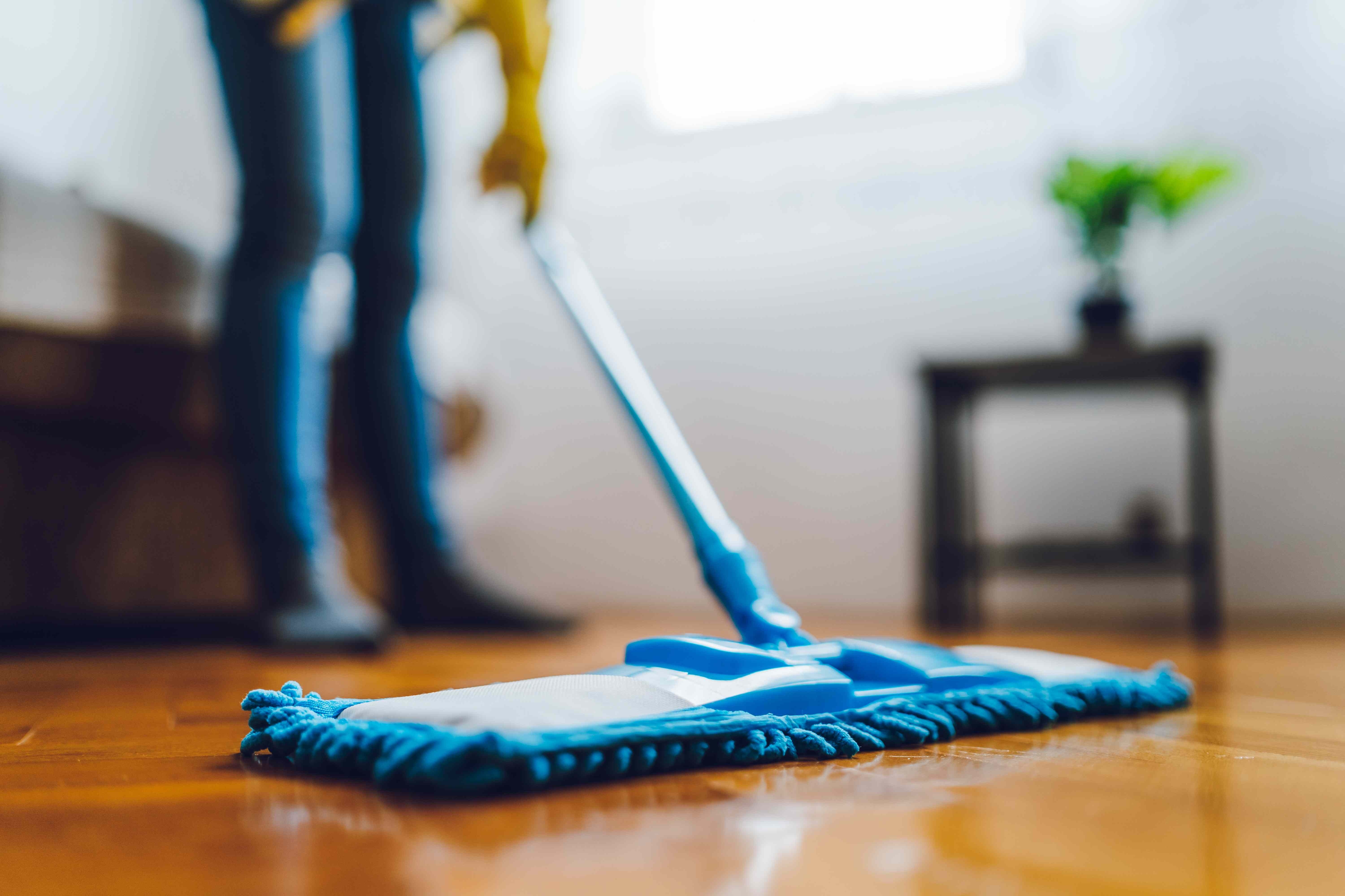 Compare dry wet and steam mops: Distinguish a dust mop from a wet mop