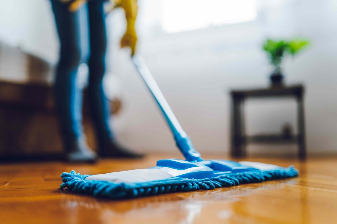 Compare dry wet and steam mops: Distinguish a dust mop from a wet mop